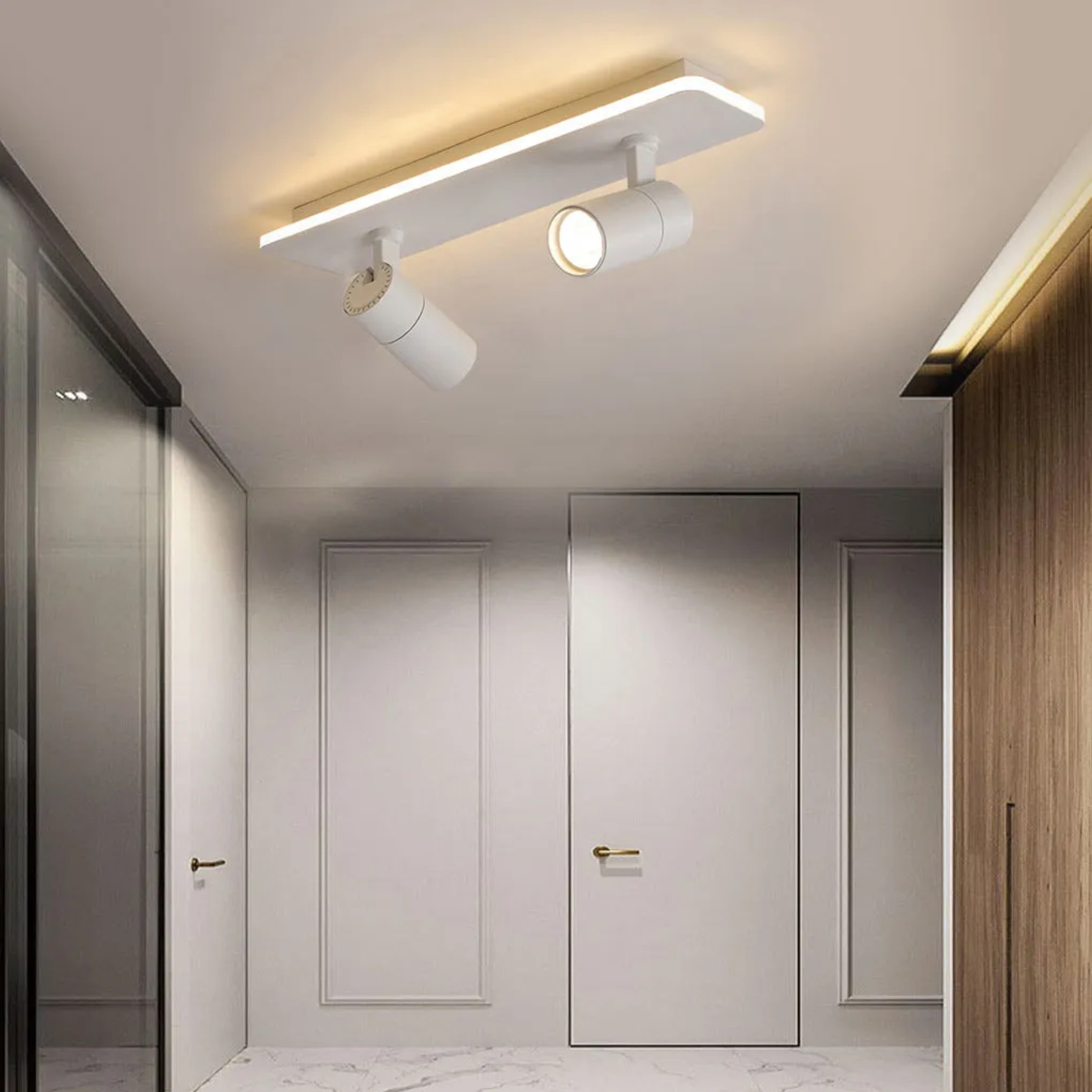 Modern strip long black metal directional & spot lights, Lighom — Cool White (6000K) / White / 2-Light
