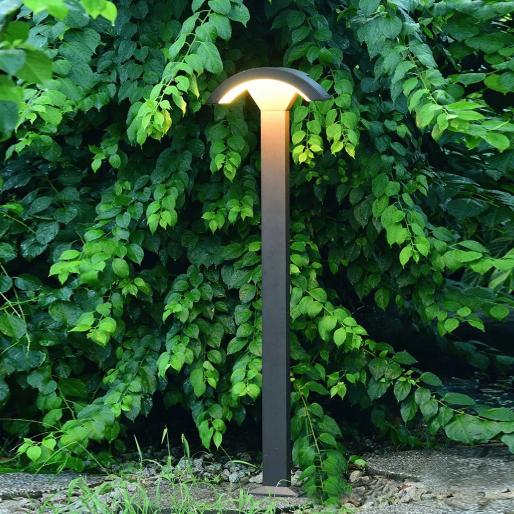 Industrial sensor fan-shaped black landscape lighting in metal — No Motion Sensor / Cool White (6000K) / Set of 1