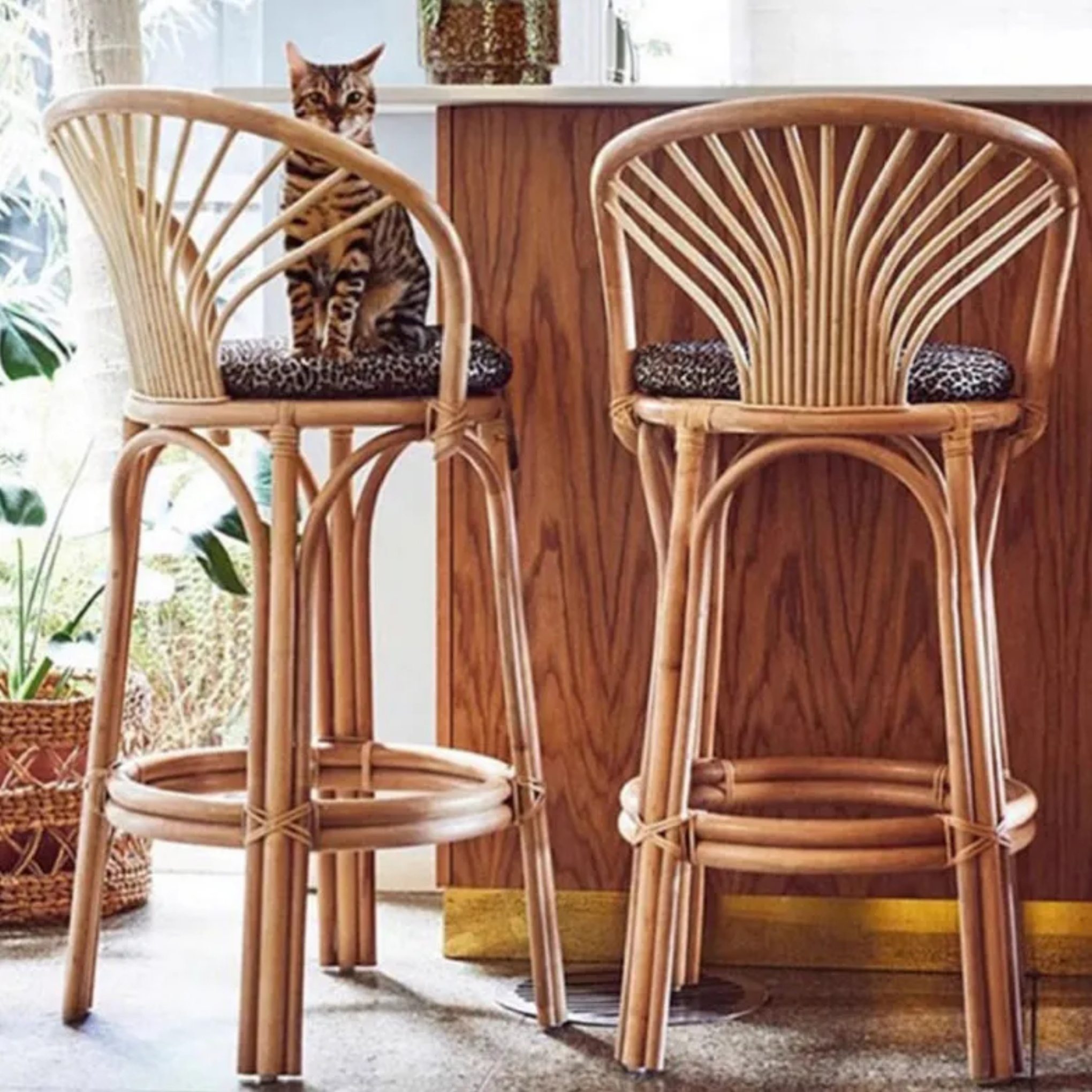 Lighom curved-back rattan wood bar & counter stools for dining room