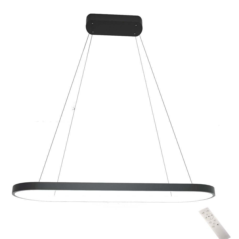 LED Oval Modern Black Pendant Light with Remote Control Artistic Pendant Light-Lighom