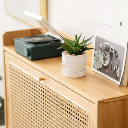 Minimalist Natural Wood Entryway Shoe Cabinet