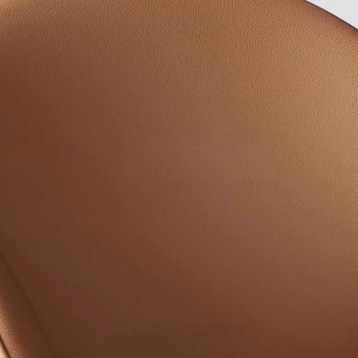 Modern Low Back Leather Accent Dining Chair