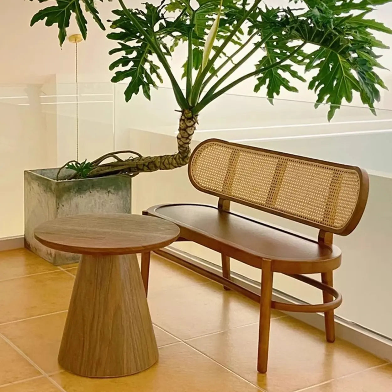 Modern Rattan-Back Wooden Bench — Nut-Brown