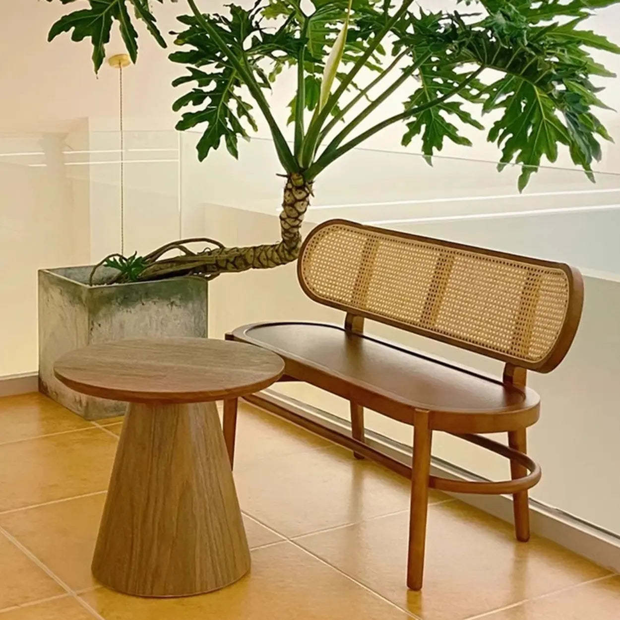 Modern Rattan-Back Wooden Bench — Nut-Brown