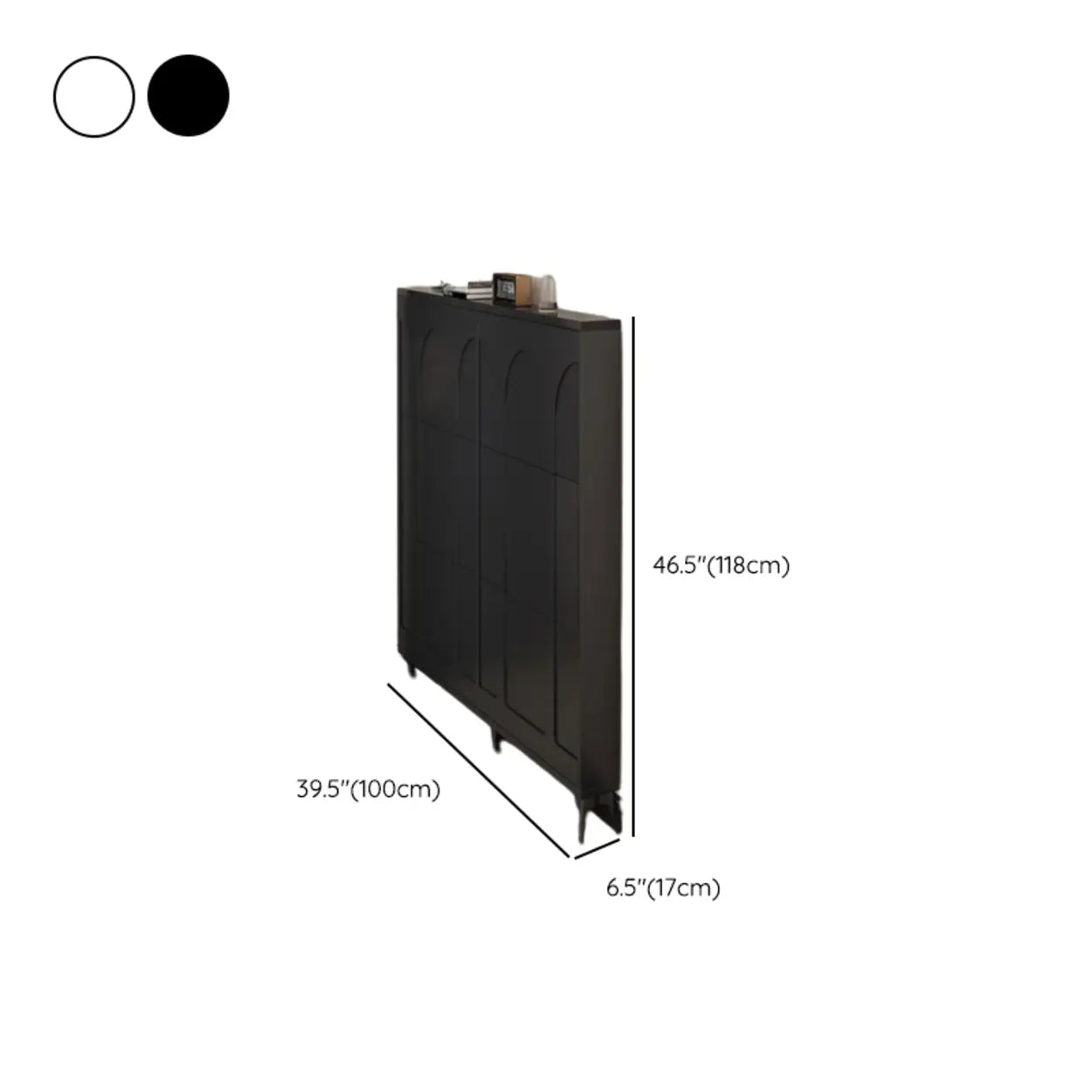 Modern Rectangular Metal Black Shoe Cabinet