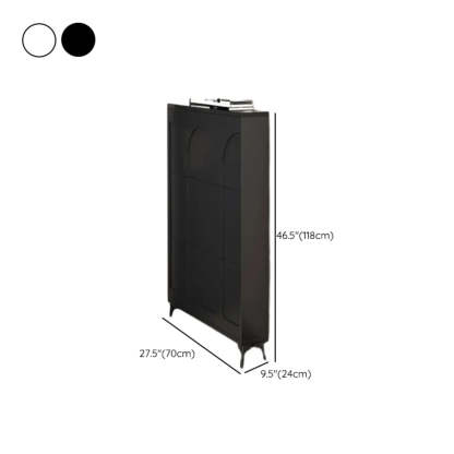 Modern Rectangular Metal Black Shoe Cabinet