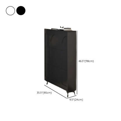 Modern Rectangular Metal Black Shoe Cabinet