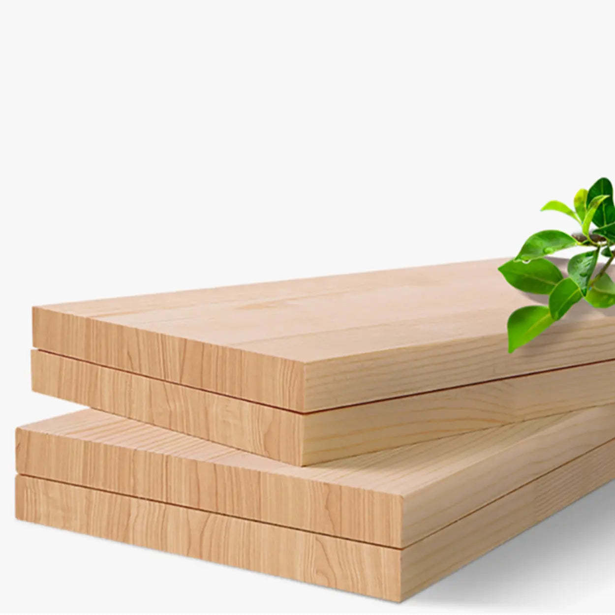 Modern Rectangular Wood Brown Bookcase — Natural