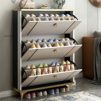Drop-Front Shoe Storage Cabinet