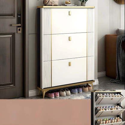 Drop-Front Shoe Storage Cabinet