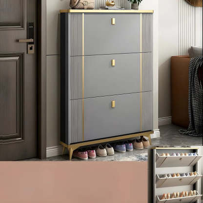 Drop-Front Shoe Storage Cabinet