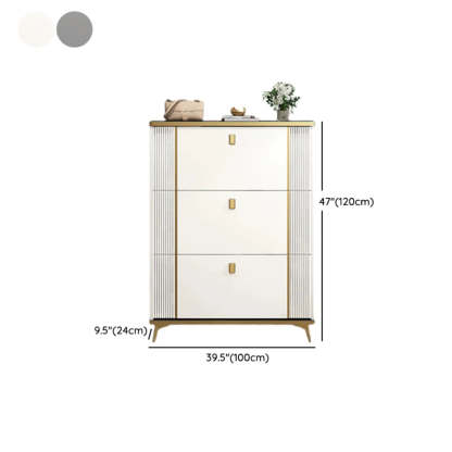 Drop-Front Shoe Storage Cabinet