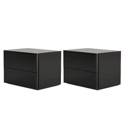 Rectangular White Wood 2-Drawer Nightstand — Black / 2 Piece Set