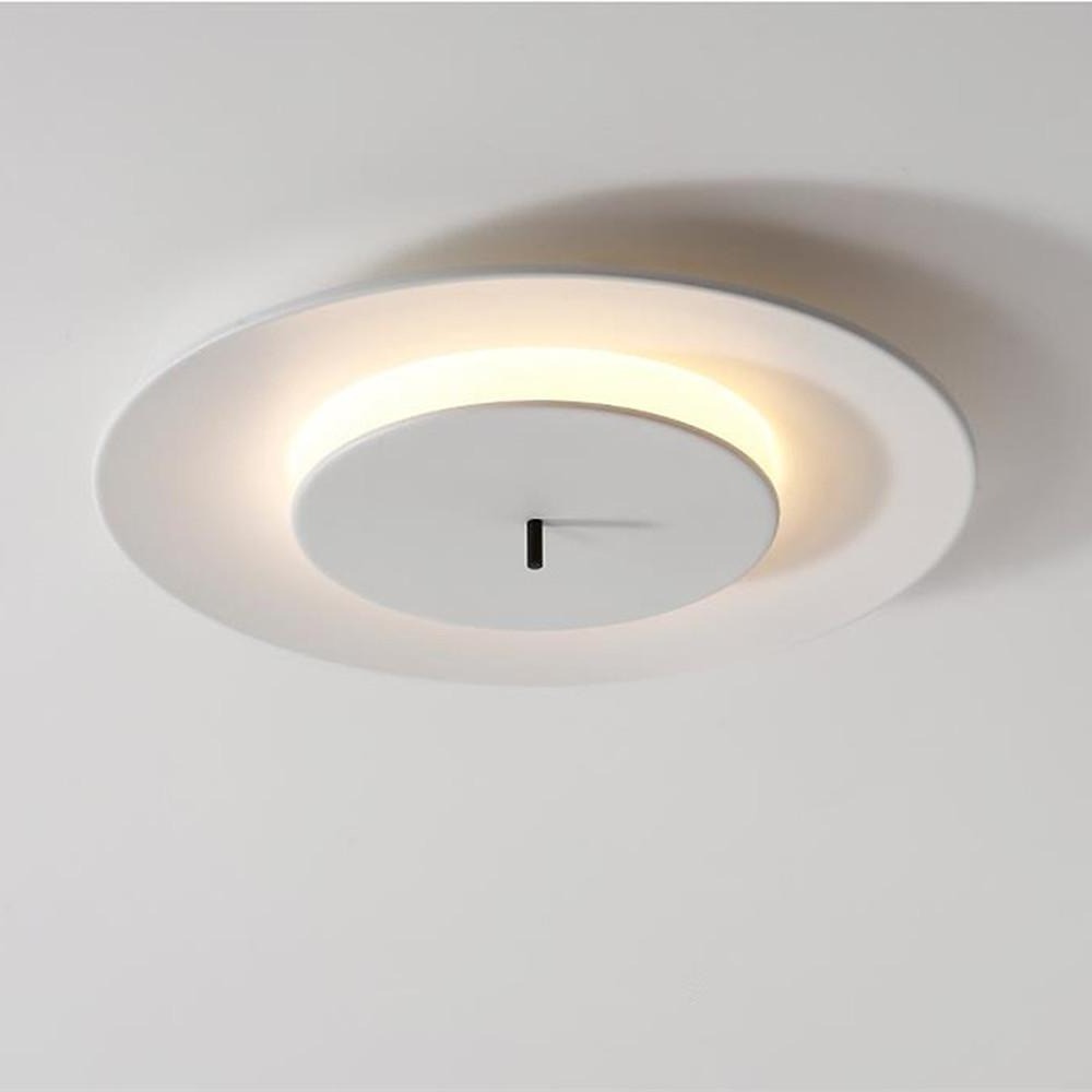 2-Circle LED Modern Flush Mount