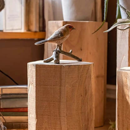 Rustic Natural Wood Floor Plant Stand