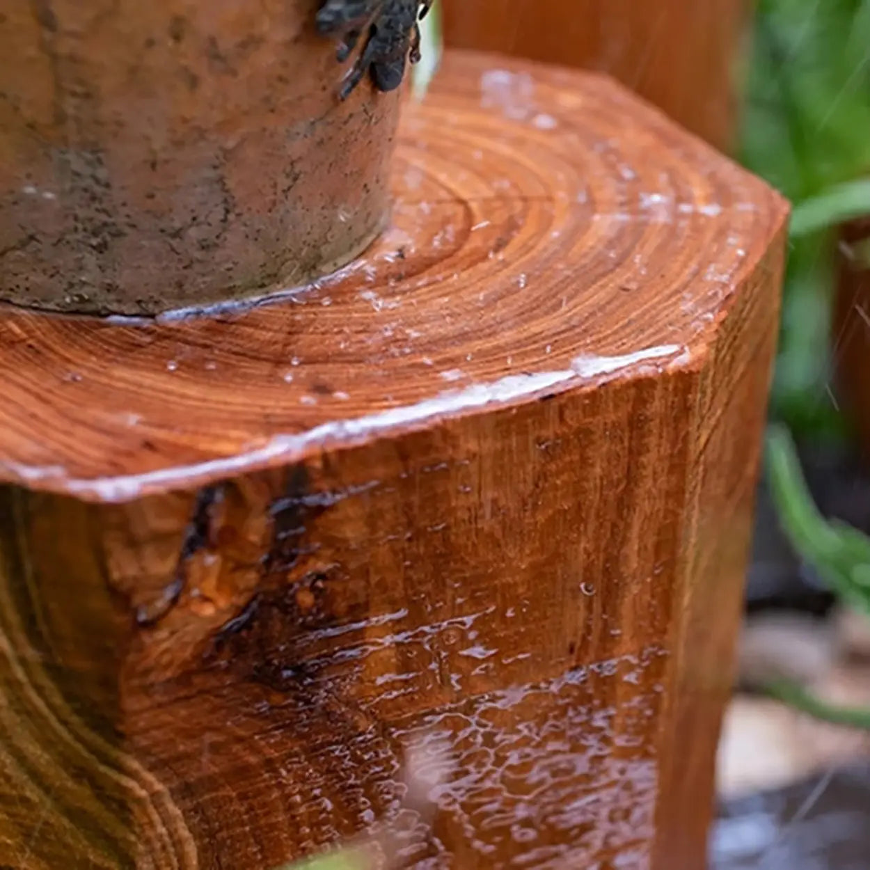 Rustic Natural Wood Floor Plant Stand