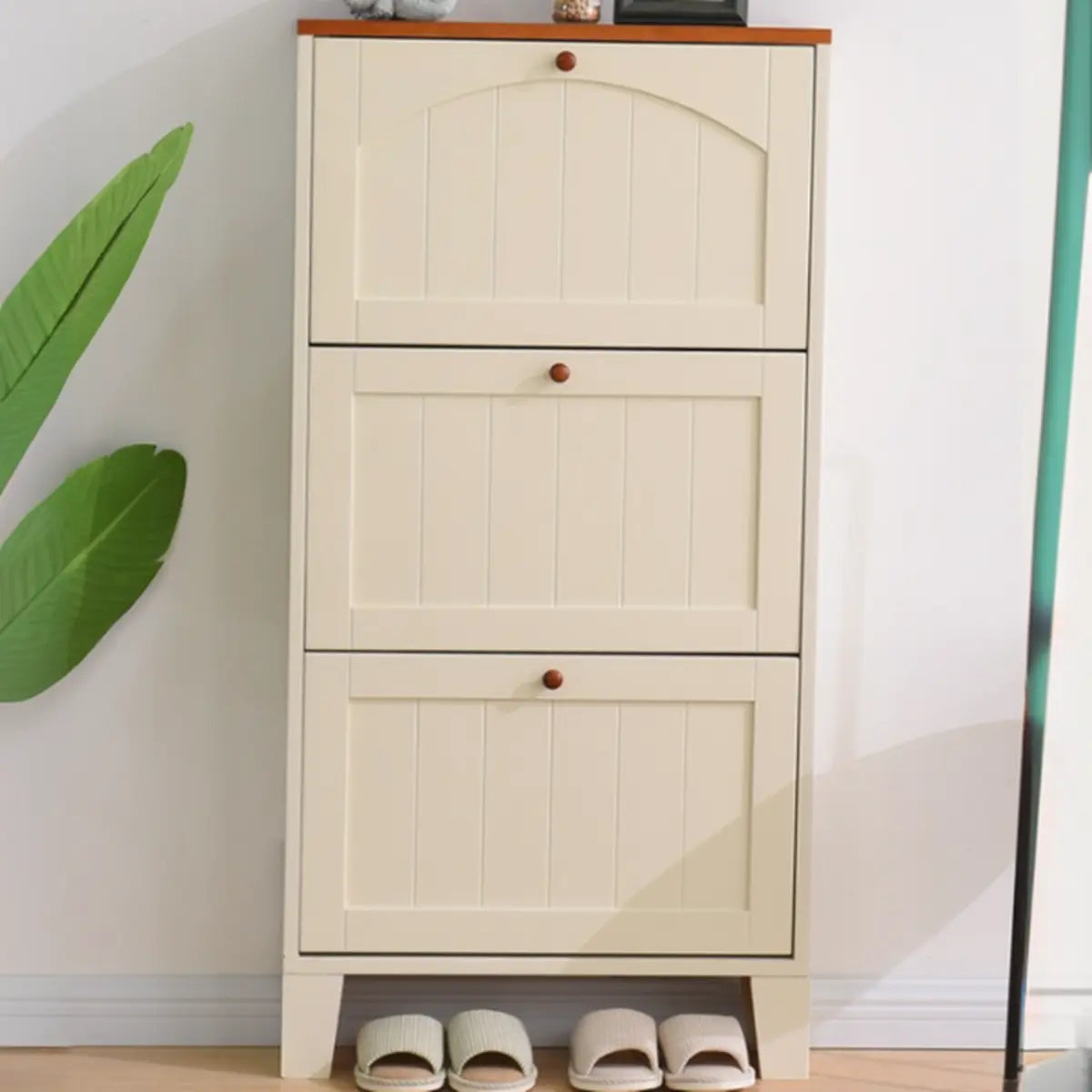 Rustic Cream Wood Entryway Shoe Cabinet — Green/ Tawny