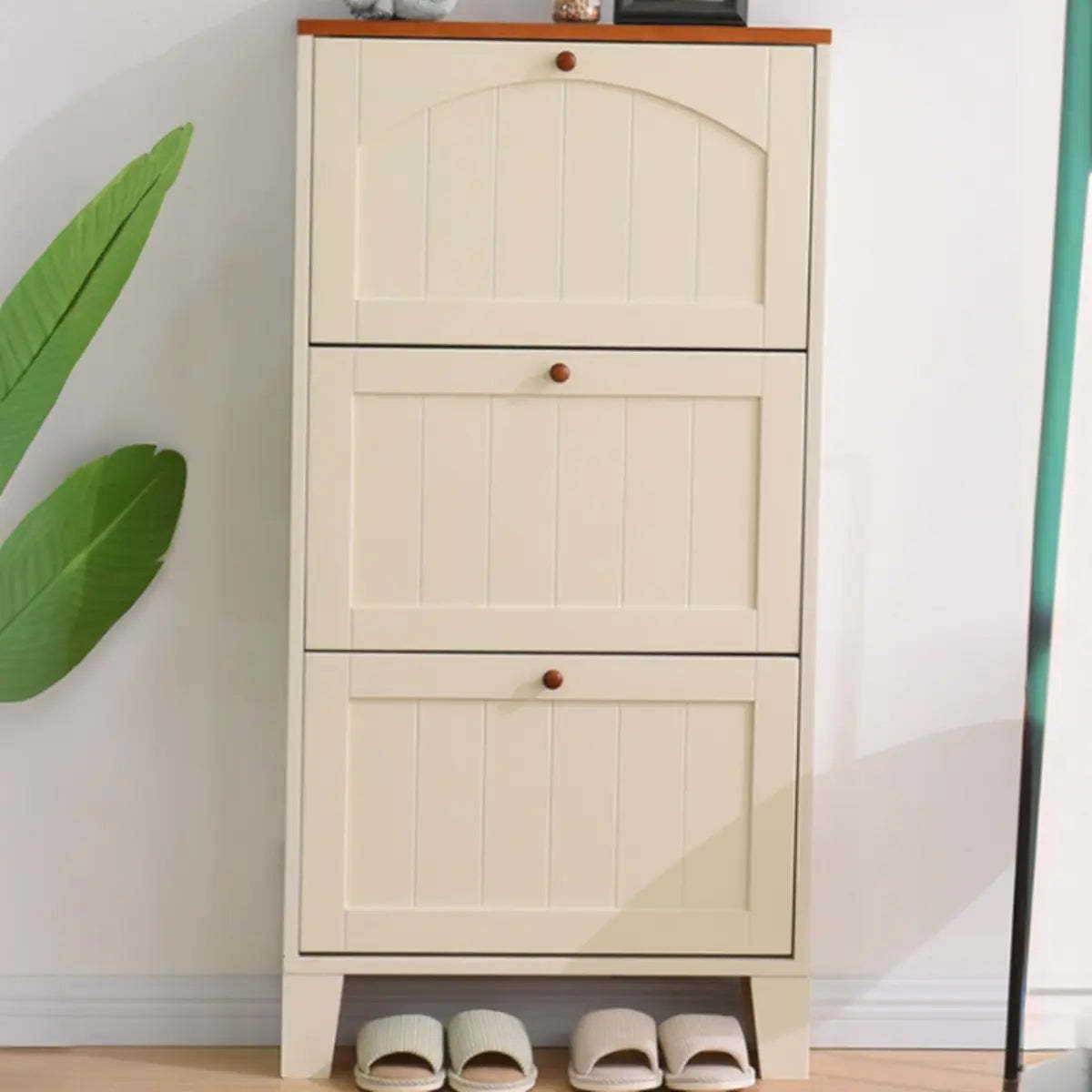 Rustic Cream Wood Entryway Shoe Cabinet — Green/ Tawny