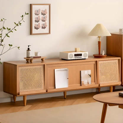 Scandinavian Natural Rectangular Wood TV Stand with Shelf — Glass Door