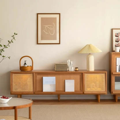 Scandinavian Natural Rectangular Wood TV Stand with Shelf — Glass Door