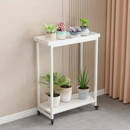 Simple White 2-Tier Rectangular Metal Sliding Plant Stand — 2 / White