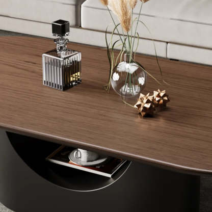 Simple Brown Oval Wood Storage Coffee Table