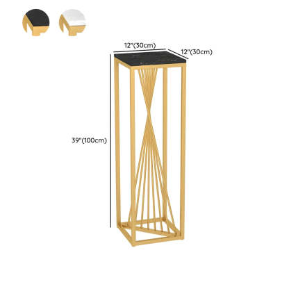 Black Square Gold Metal Display Plant Stand