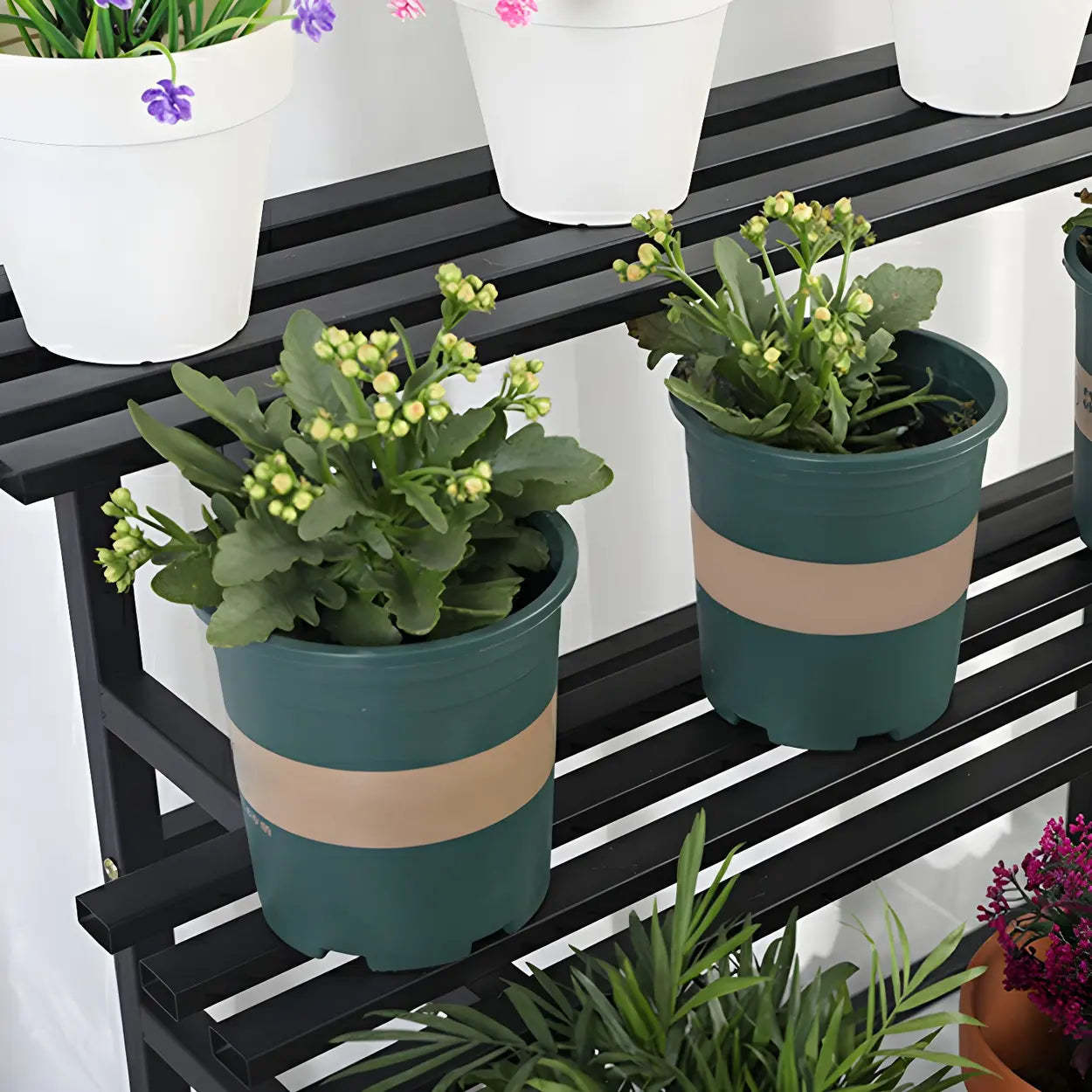 Black Metal Multi-Tier Plant Rack