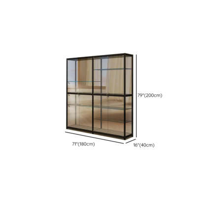 Black Glass Adjustable Display Cabinet