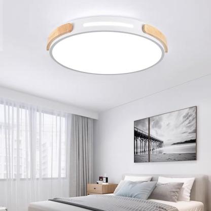 Minimalist Round LED Modern Flush Mount Ceiling Light — White