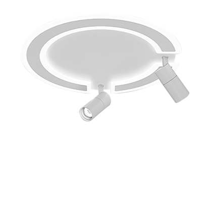 Unique Flush Mount Lighting Circle Shaped Iron Acrylic Light with Spotlight-Lighom