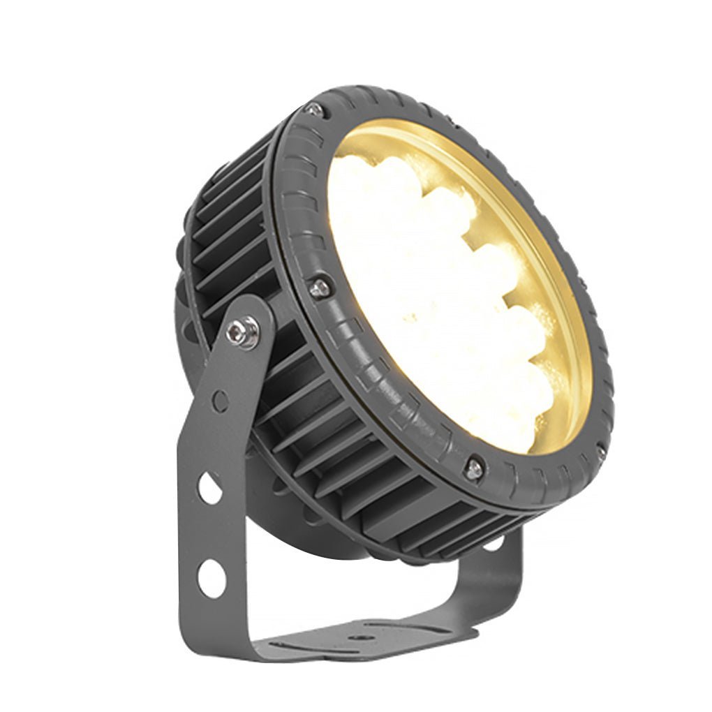 Decorative Ground Spotlight for Outdoor Tree Landscape Lighting-Lighom