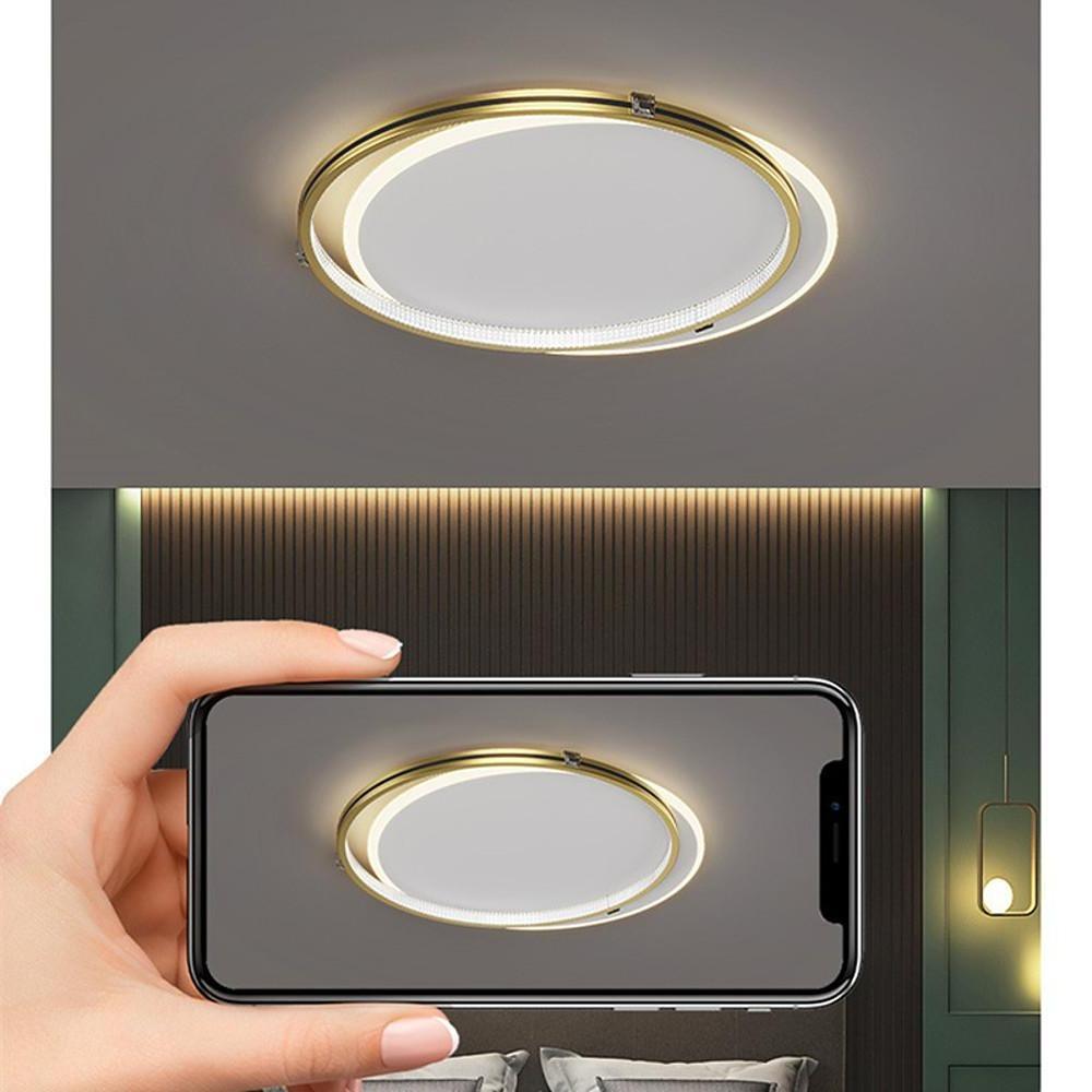 2-Circle Metal Dimmable LED Flush Mount