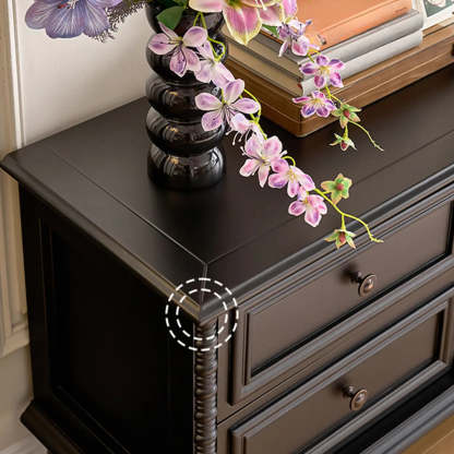 Vintage Rectangular Black TV Stand with Cabinet