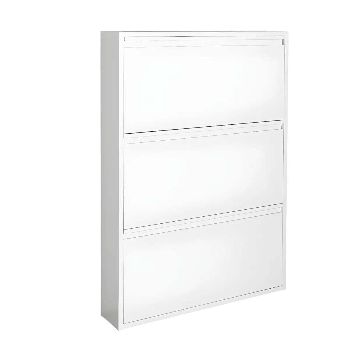 Wall-Mount Drop-Front Shoe Cabinet