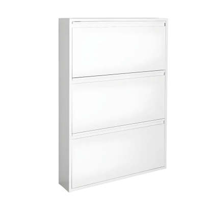 Wall-Mount Drop-Front Shoe Cabinet