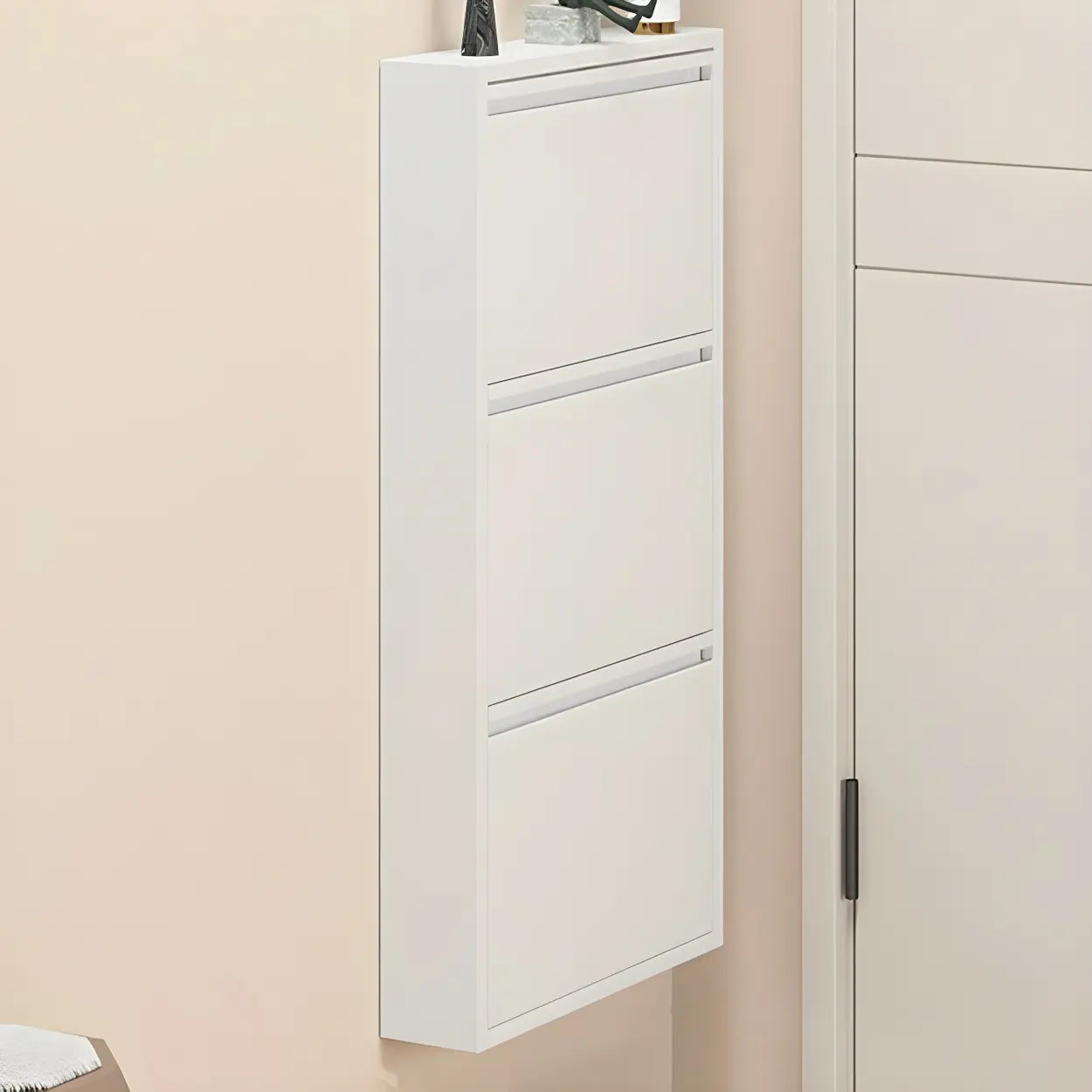 Wall-Mount Drop-Front Shoe Cabinet