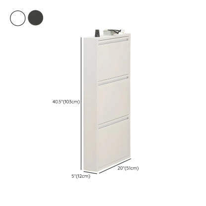 Wall-Mount Drop-Front Shoe Cabinet