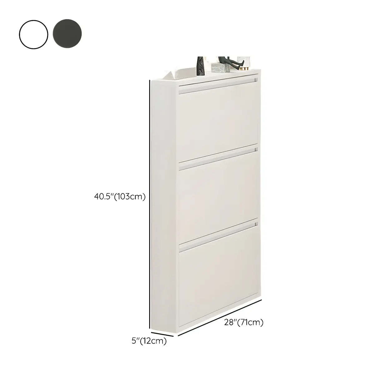 Wall-Mount Drop-Front Shoe Cabinet