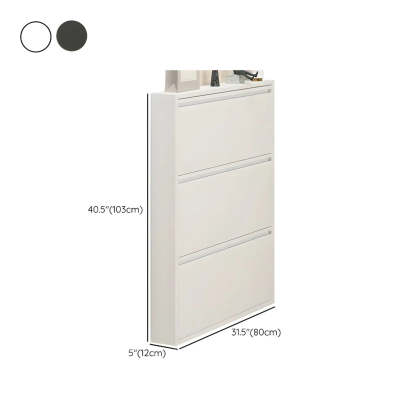Wall-Mount Drop-Front Shoe Cabinet