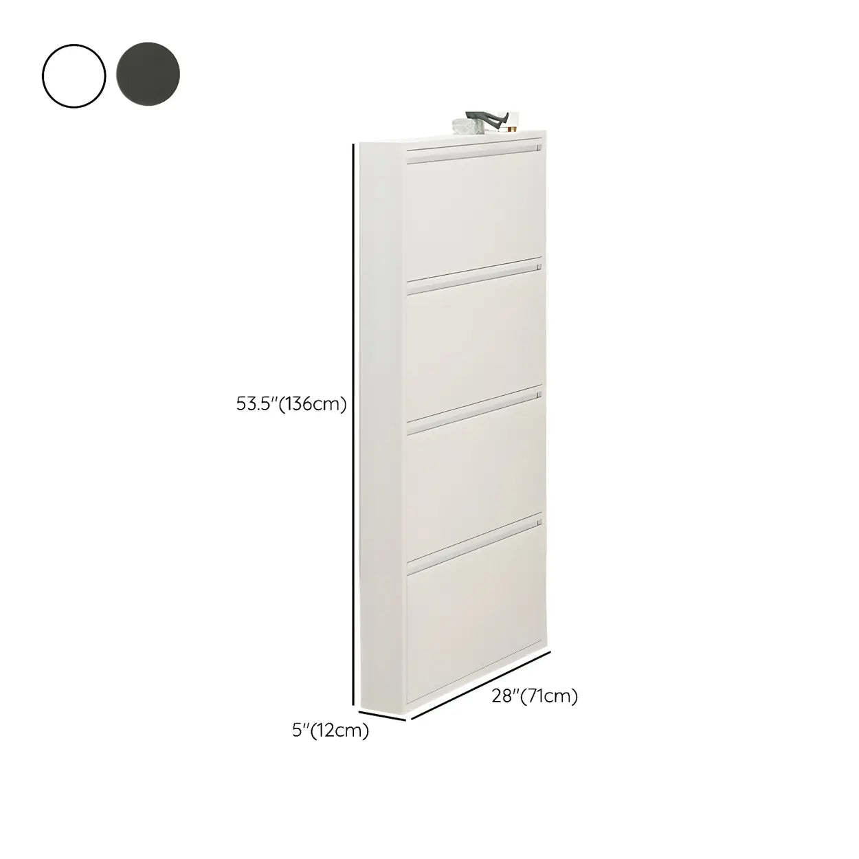 Wall-Mount Drop-Front Shoe Cabinet