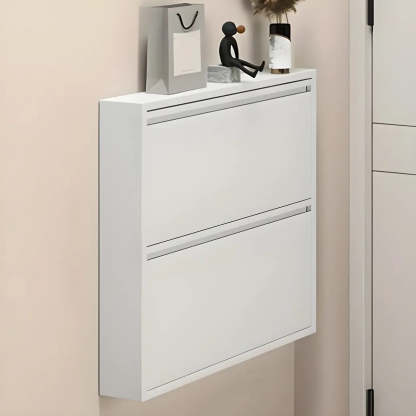 Wall-Mount Drop-Front Shoe Cabinet