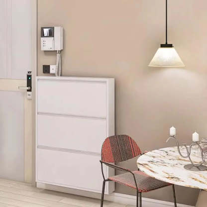 Wall-Mount Drop-Front Shoe Cabinet