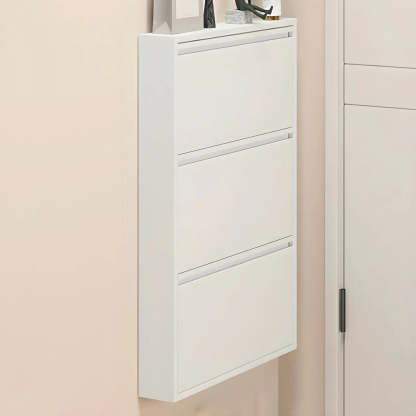 Wall-Mount Drop-Front Shoe Cabinet