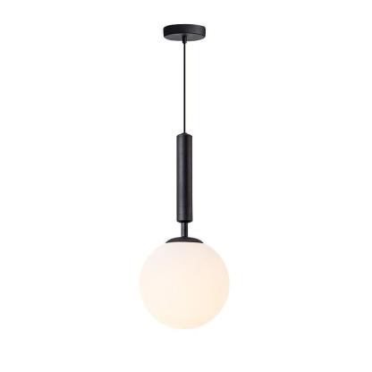 Globe Glass Metal LED Artistic Pendant Light