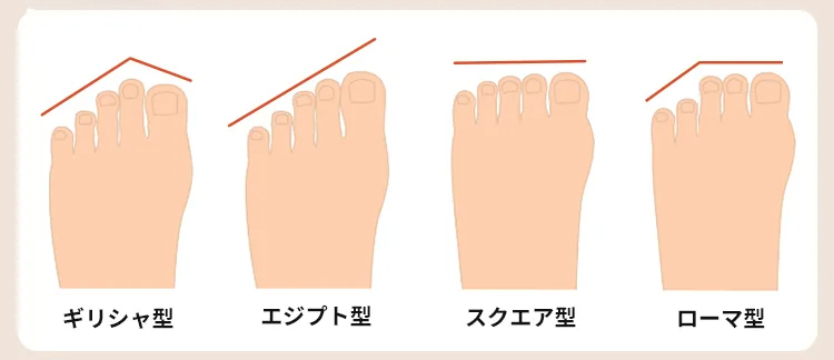 足型の種類