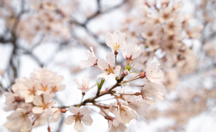 春服 靴 レディース