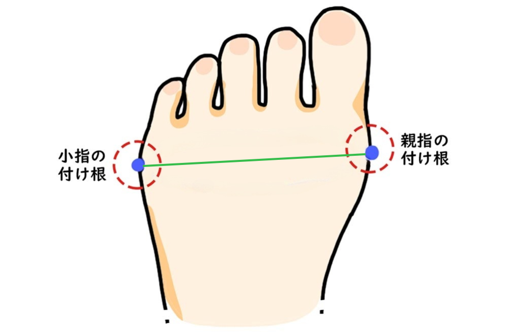 足幅の測り方