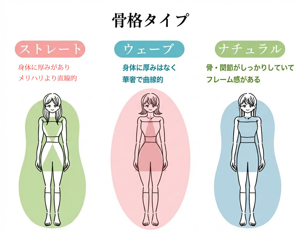 3つの骨格タイプ別