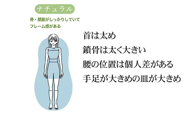 骨格ナチュラル特徴まとめ